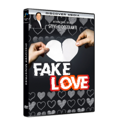 Fake Love